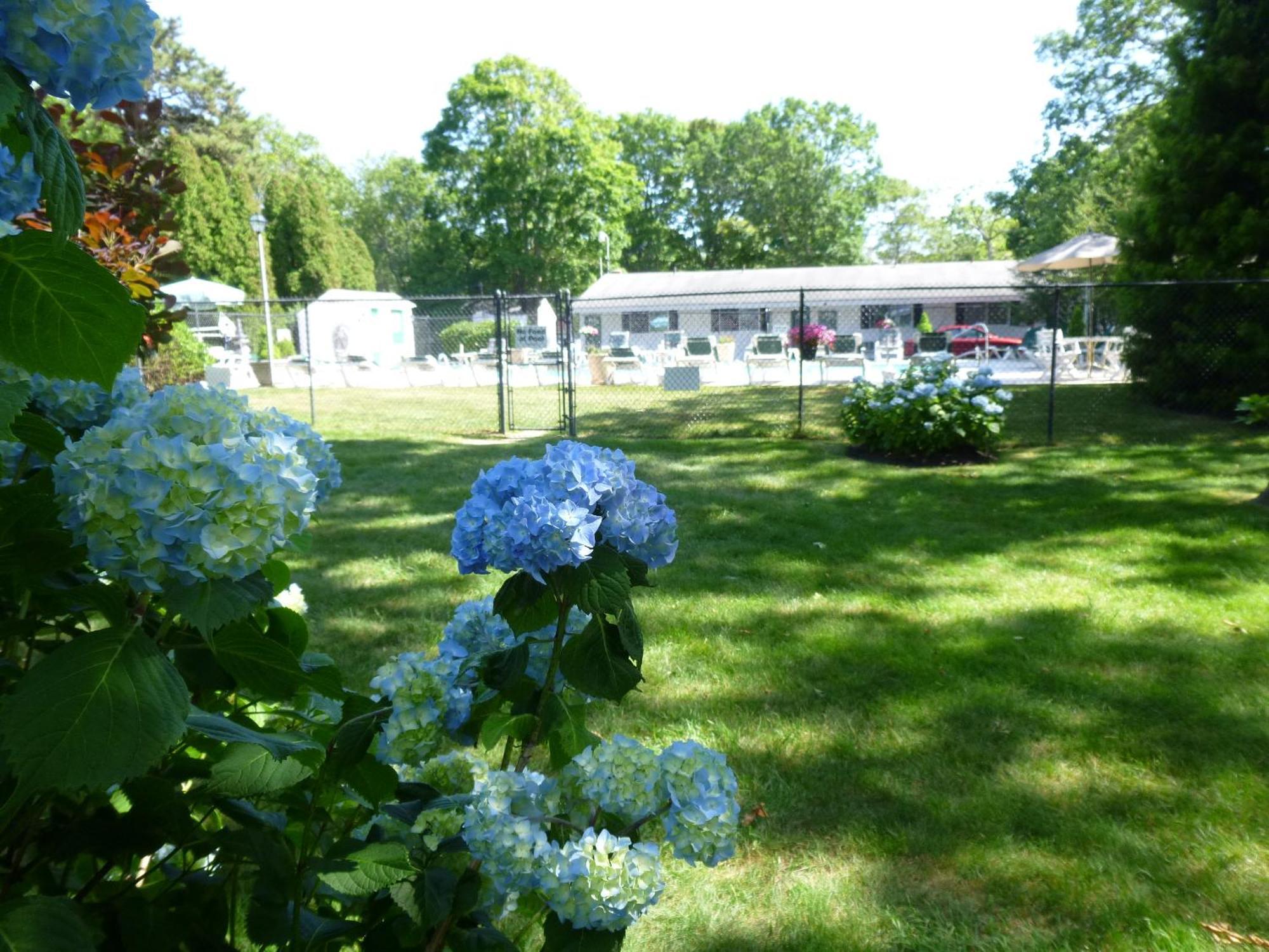 Falmouth Heights Motor Lodge Exterior photo